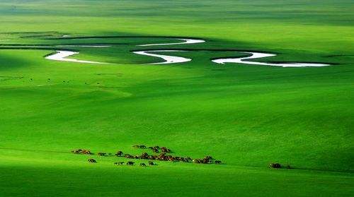 众安在线2023境内团意险(个险)