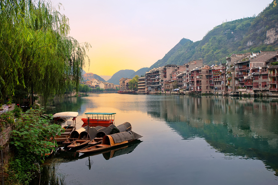 申能2024境内旅游险