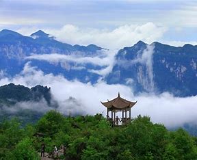 申能任我游境内旅游险